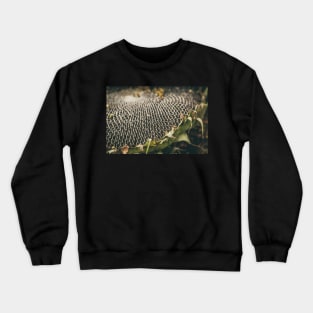 Mature sunflower background Crewneck Sweatshirt